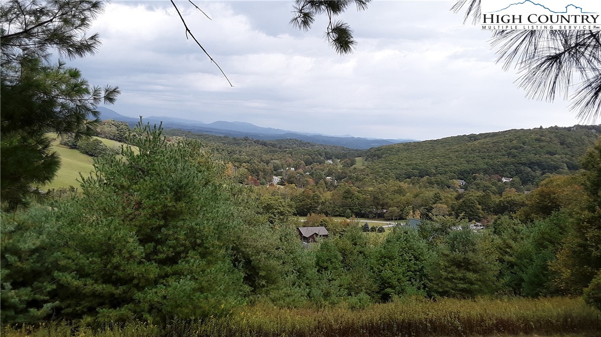 Brown Stone Ridge Drive Boone, NC 28607 - Photo 15 of 24
