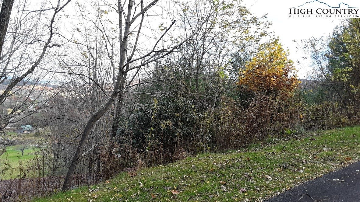 Brown Stone Ridge Drive Boone, NC 28607 - Photo 18 of 24