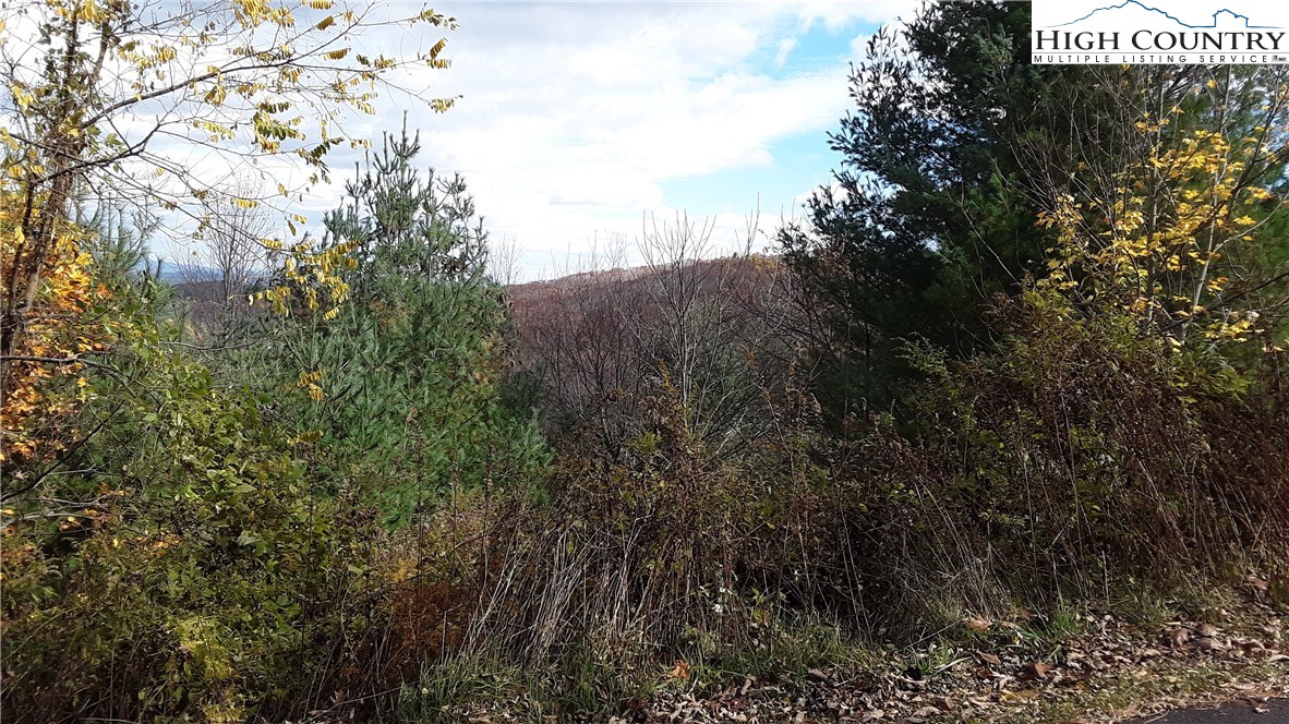 Brown Stone Ridge Drive Boone, NC 28607 - Photo 20 of 24