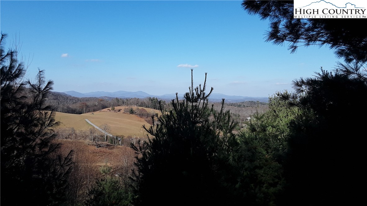 Brown Stone Ridge Drive Boone, NC 28607 - Photo 2 of 24