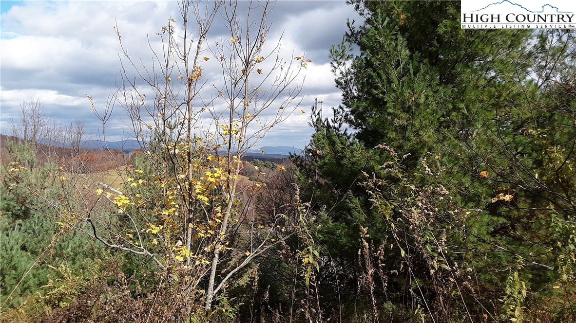 Brown Stone Ridge Drive Boone, NC 28607 - Photo 21 of 24