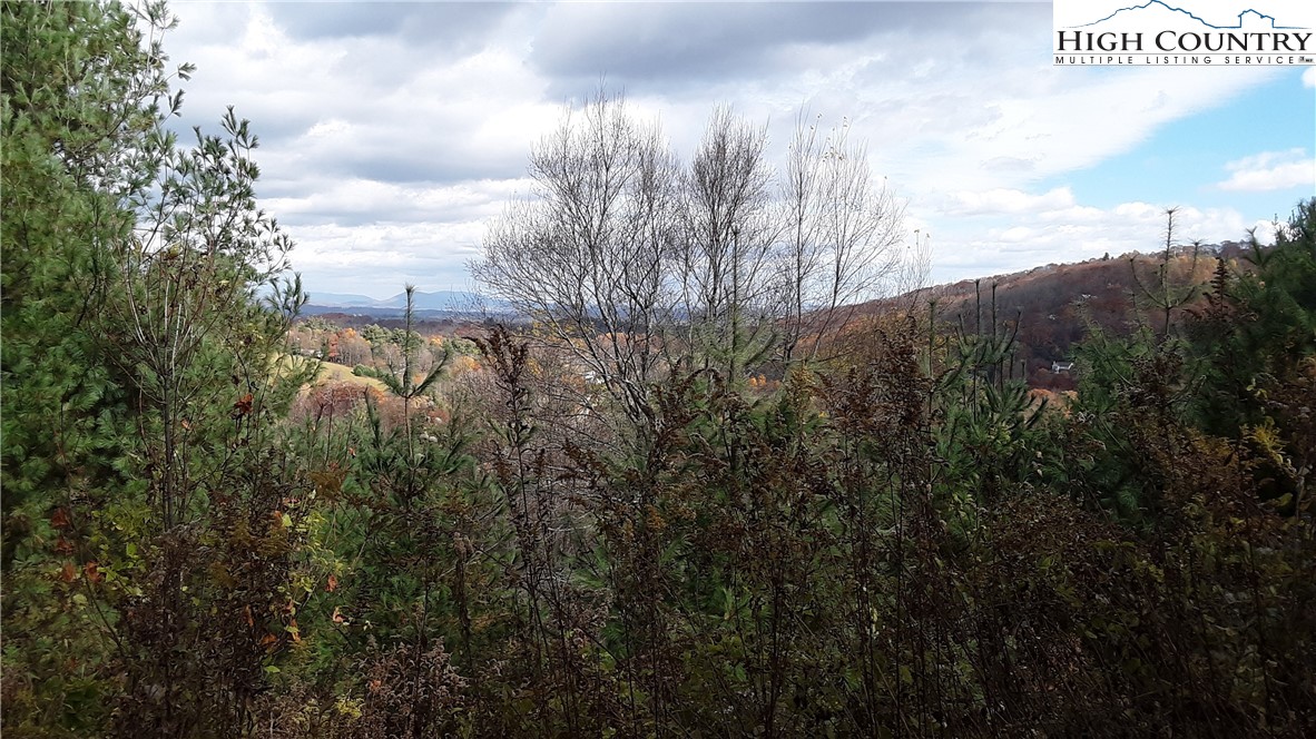 Brown Stone Ridge Drive Boone, NC 28607 - Photo 22 of 24