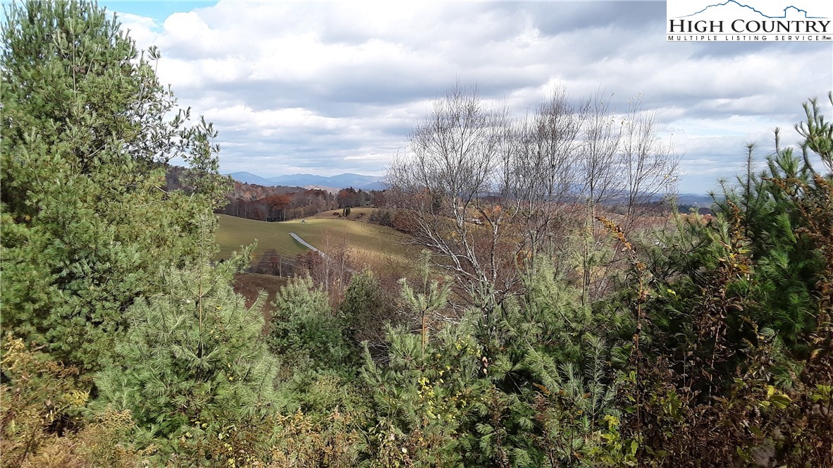 Brown Stone Ridge Drive Boone, NC 28607 - Photo 23 of 24