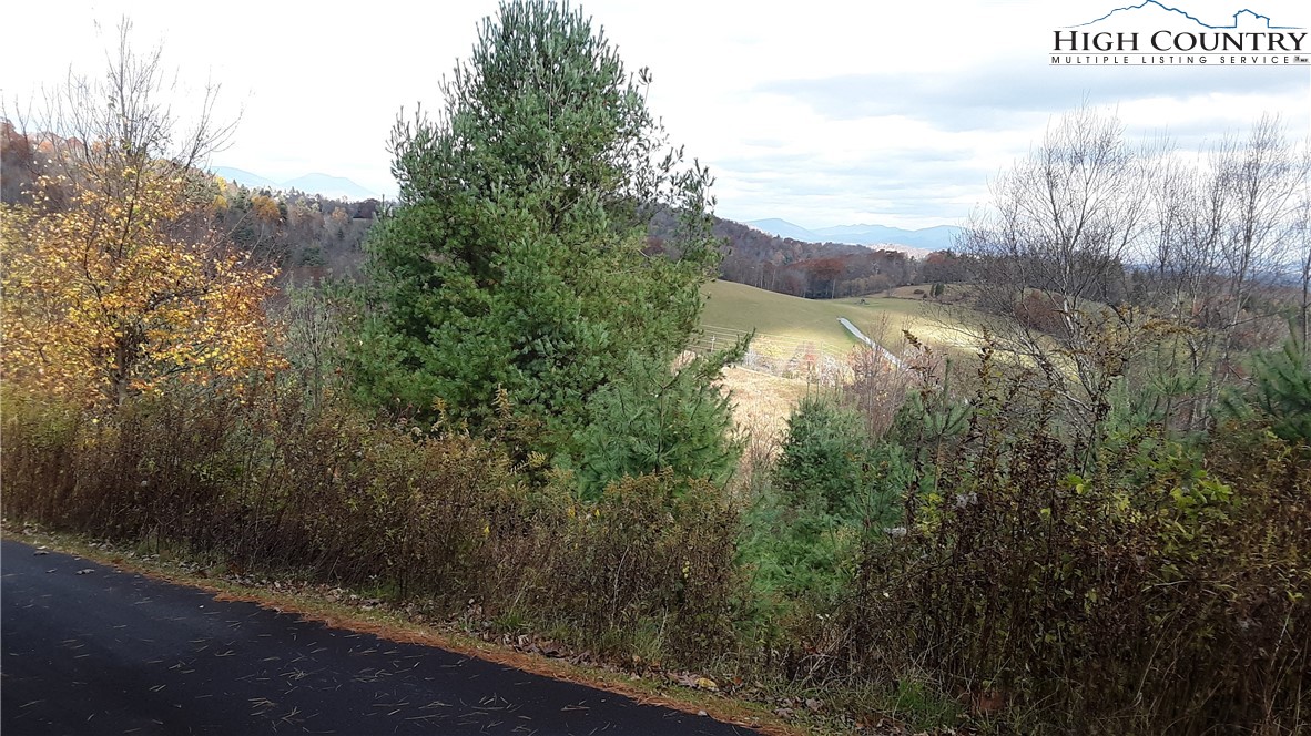 Brown Stone Ridge Drive Boone, NC 28607 - Photo 24 of 24