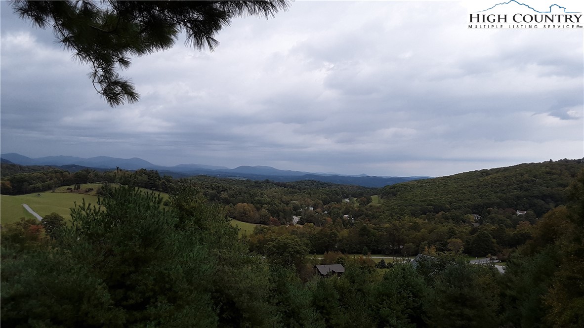 Brown Stone Ridge Drive Boone, NC 28607 - Photo 3 of 24