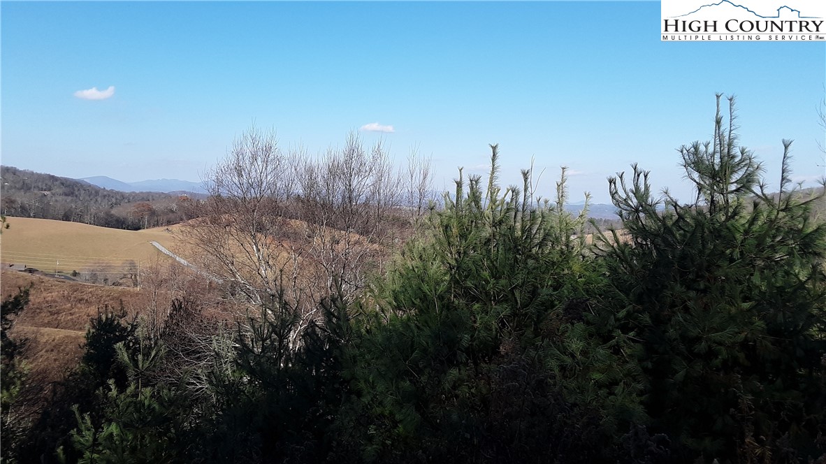 Brown Stone Ridge Drive Boone, NC 28607 - Photo 4 of 24