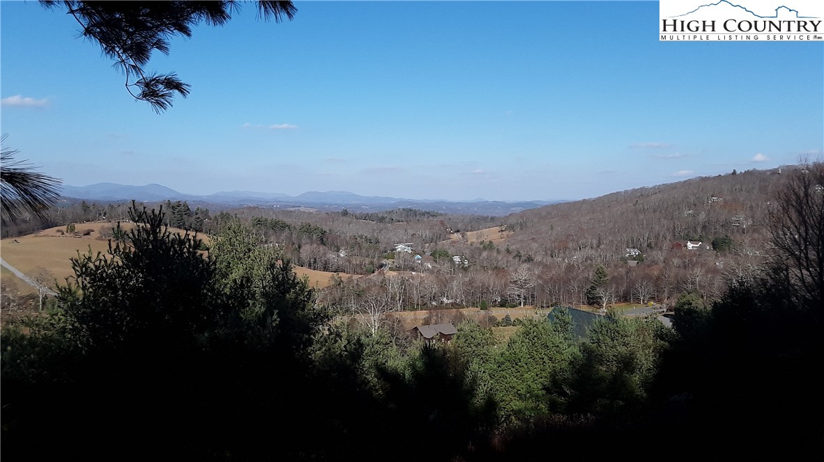 Brown Stone Ridge Drive Boone, NC 28607 - Photo 5 of 24