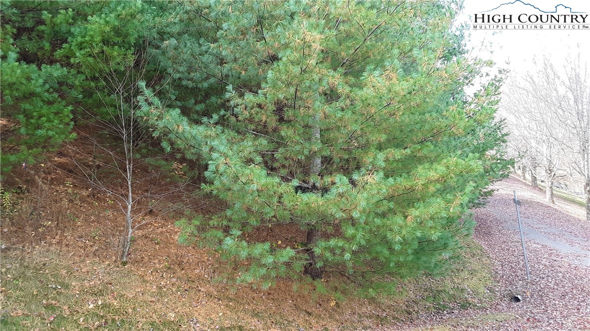 Brown Stone Ridge Drive Boone, NC 28607 - Photo 7 of 24