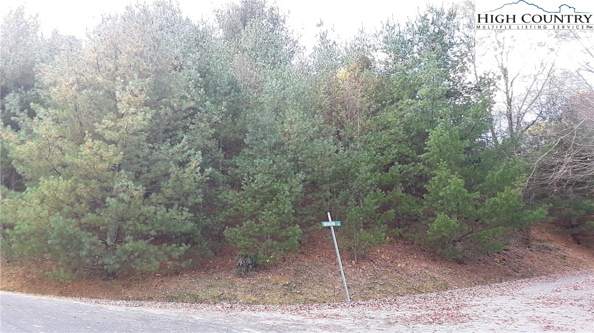 Brown Stone Ridge Drive Boone, NC 28607 - Photo 8 of 24