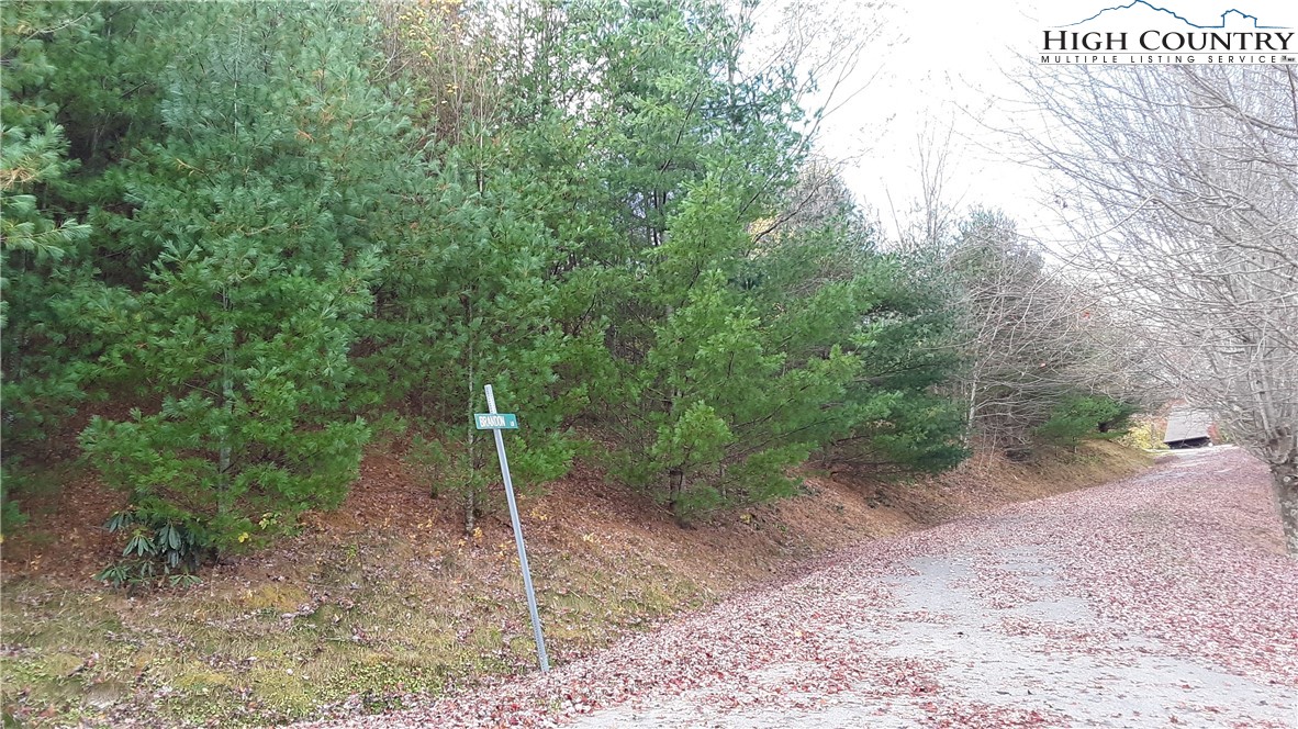 Brown Stone Ridge Drive Boone, NC 28607 - Photo 9 of 24