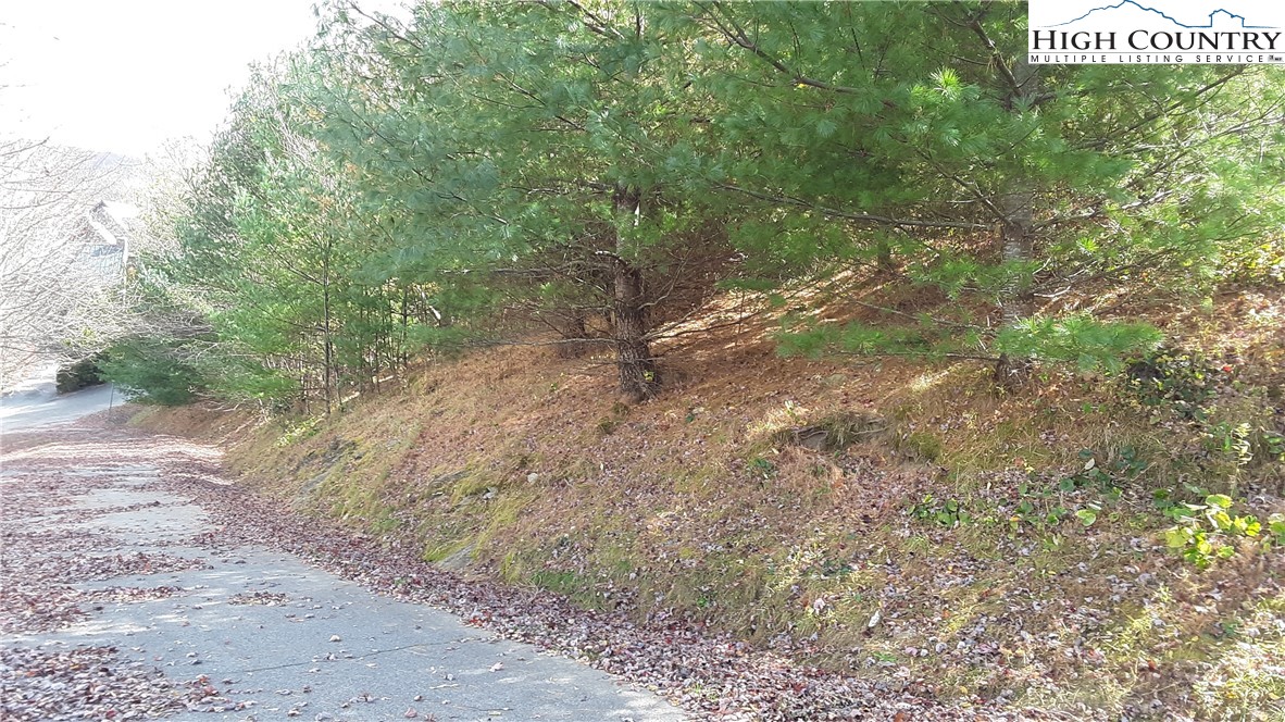 Brown Stone Ridge Drive Boone, NC 28607 - Photo 10 of 24