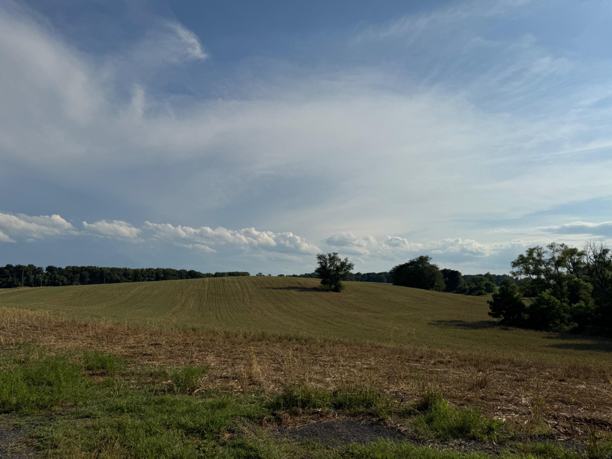 13090 Old Frederick Road Sykesville, MD 21784 - Photo 29 of 31