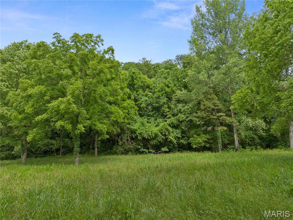 17 Greens Bottom Road St. Charles, MO 63304 - Photo 13 of 15