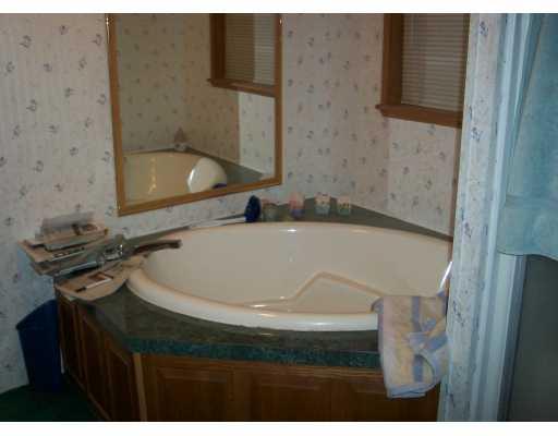 154 Silvis Road Export, PA 15632 - Photo 8 of 8 Master Bath/Spa.