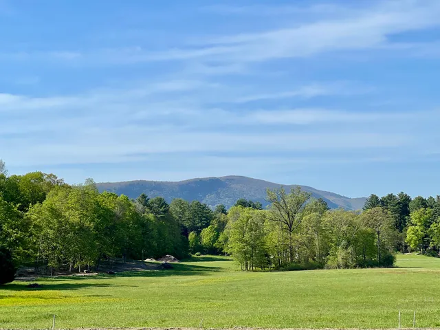 a view of a grassy field with trees