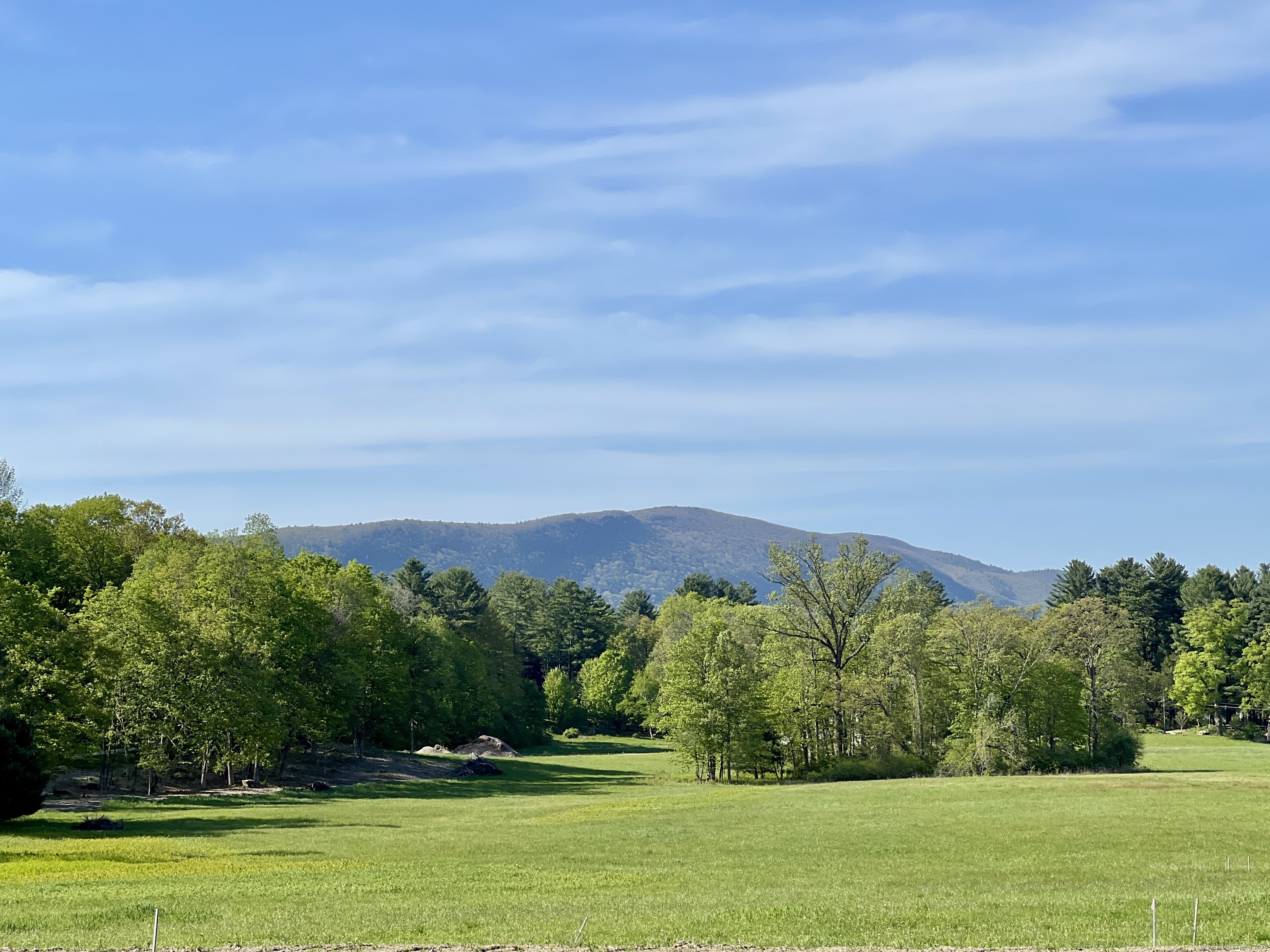 a view of a grassy field with trees