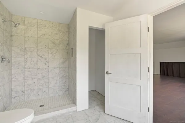 a bathroom with a shower and a toilet