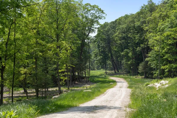 a view of a park that has large trees