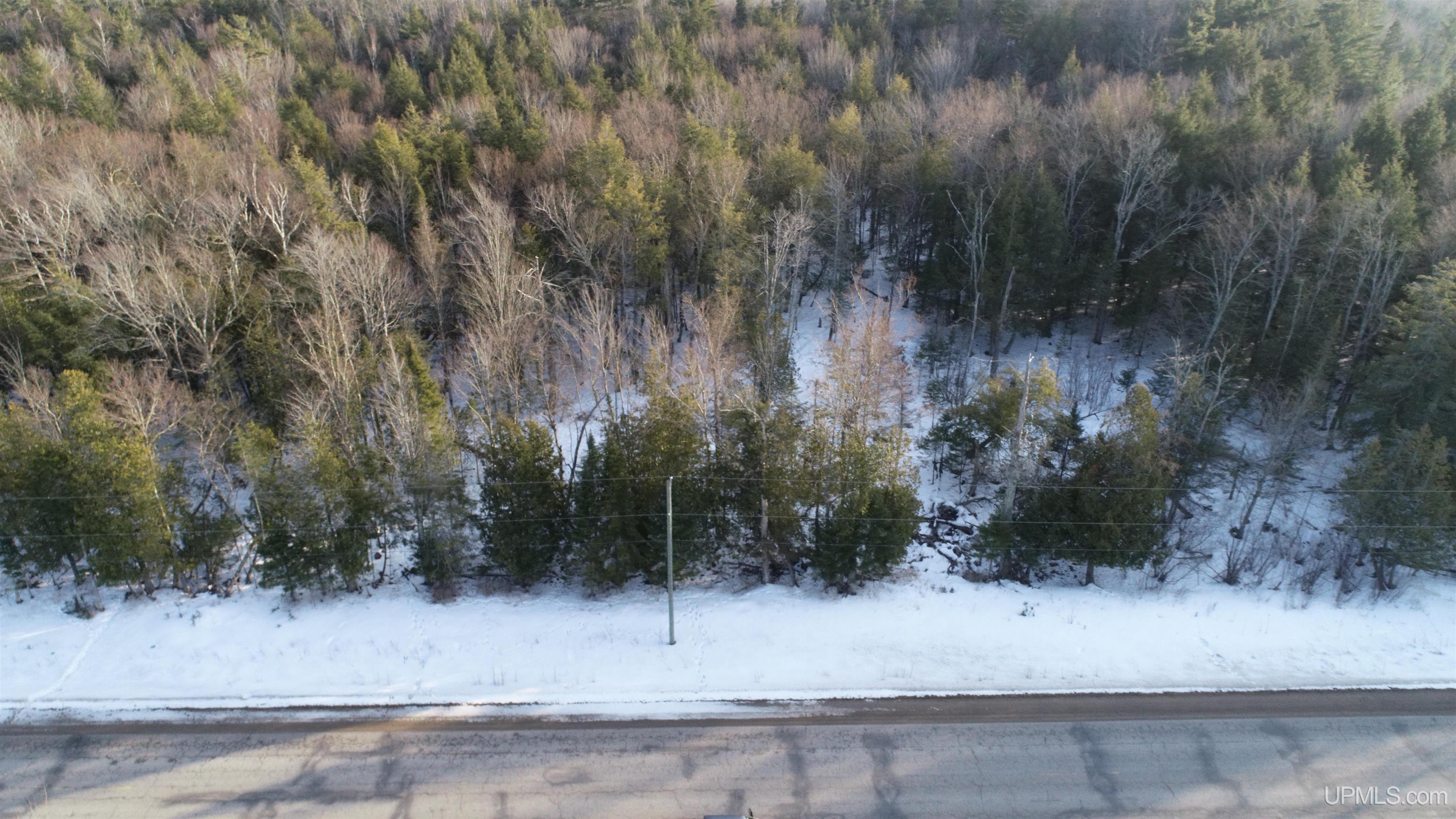 Tbd McDonald Lk Road Gulliver, MI 49840 - Photo 3 of 16