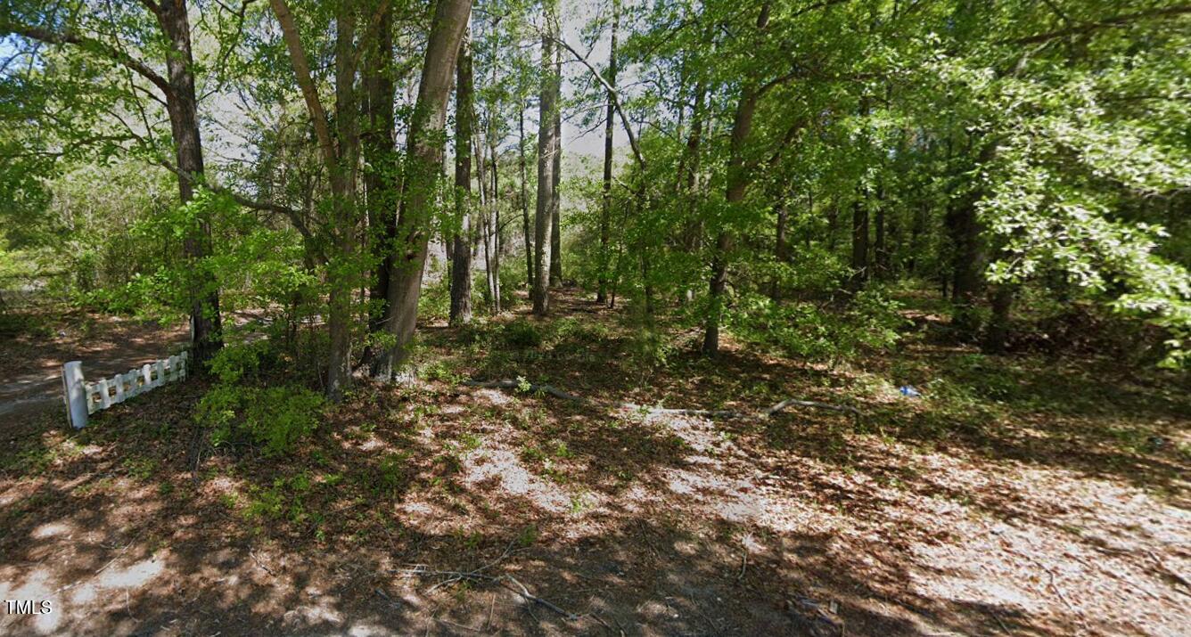 137 Congreve Road Hope Mills, NC 28348 - Photo 5 of 5 a view of forest