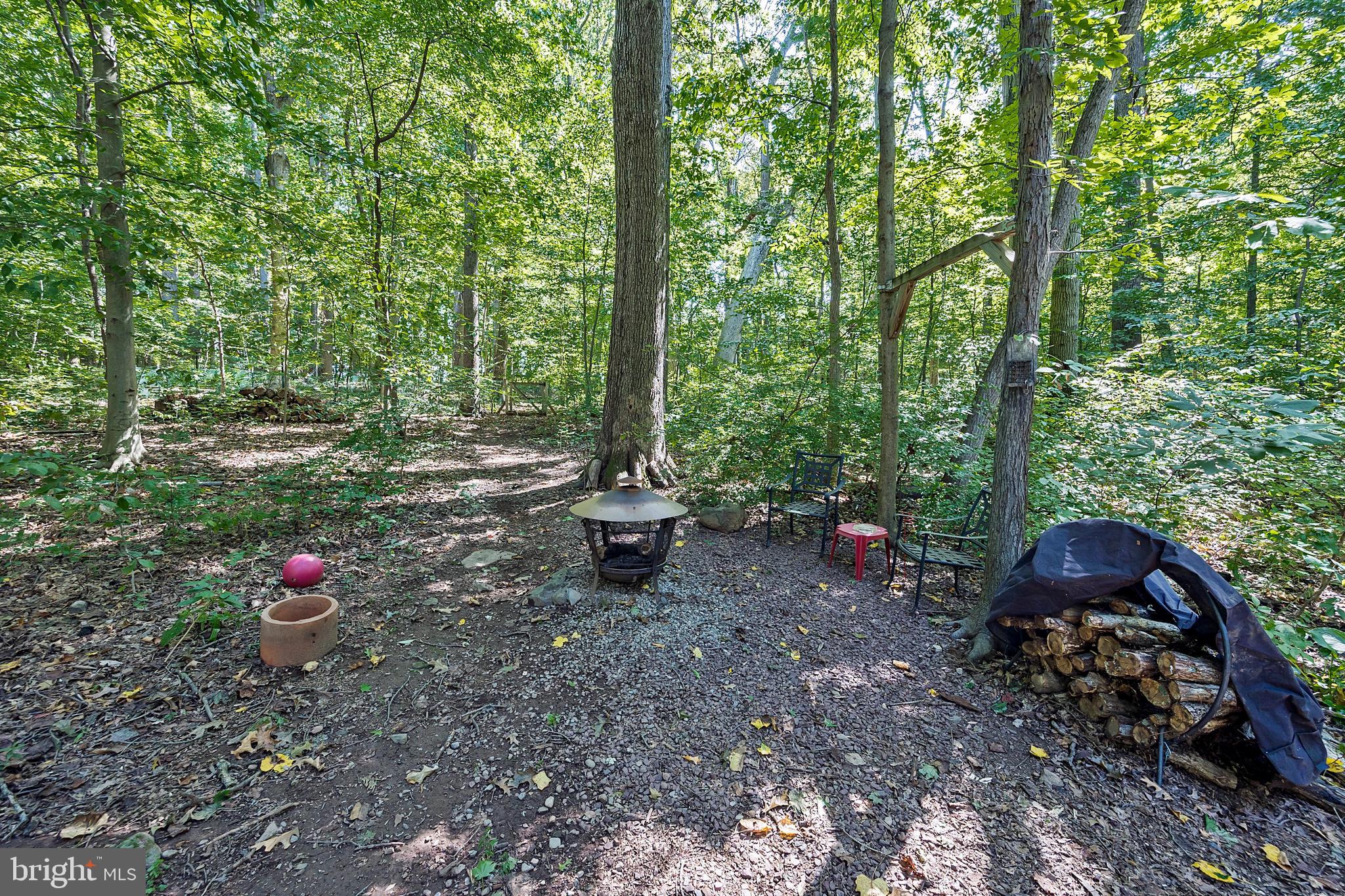 101 Grubb Road Pottstown, PA 19465 - Photo 54 of 58 Firepit Area