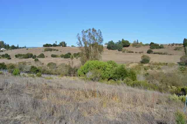 90 Old Adobe Road Watsonville, CA 95076 - Photo 11 of 22