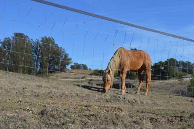 90 Old Adobe Road Watsonville, CA 95076 - Photo 16 of 22