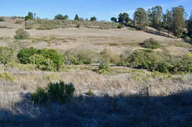 90 Old Adobe Road Watsonville, CA 95076 - Photo 2 of 22