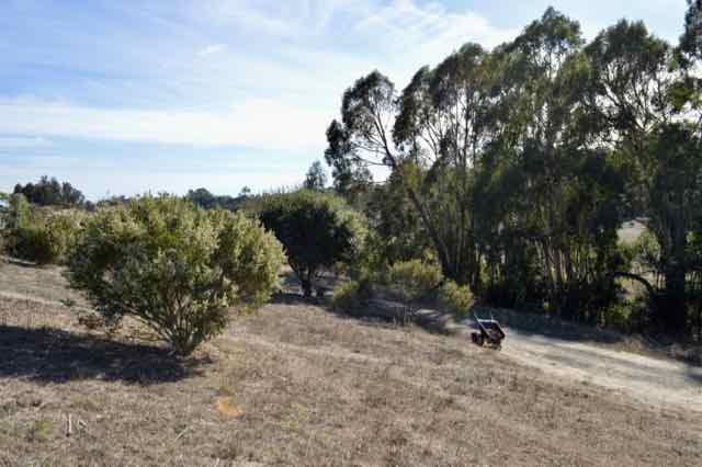 90 Old Adobe Road Watsonville, CA 95076 - Photo 5 of 22