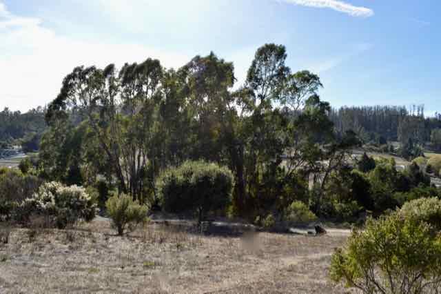 90 Old Adobe Road Watsonville, CA 95076 - Photo 6 of 22