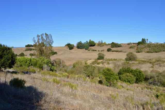 90 Old Adobe Road Watsonville, CA 95076 - Photo 7 of 22