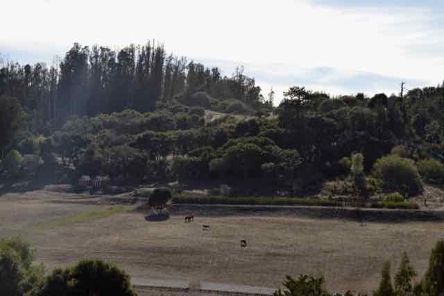 90 Old Adobe Road Watsonville, CA 95076 - Photo 9 of 22