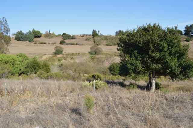 90 Old Adobe Road Watsonville, CA 95076 - Photo 10 of 22