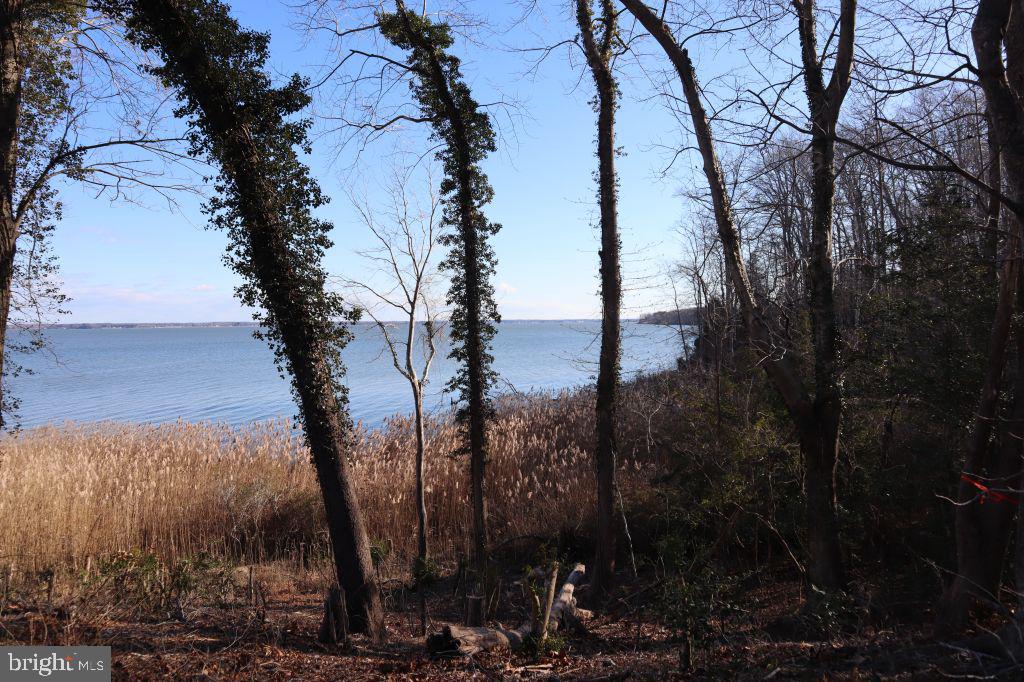 Mt Prospect Road Laneview, VA 22504 - Photo 2 of 10