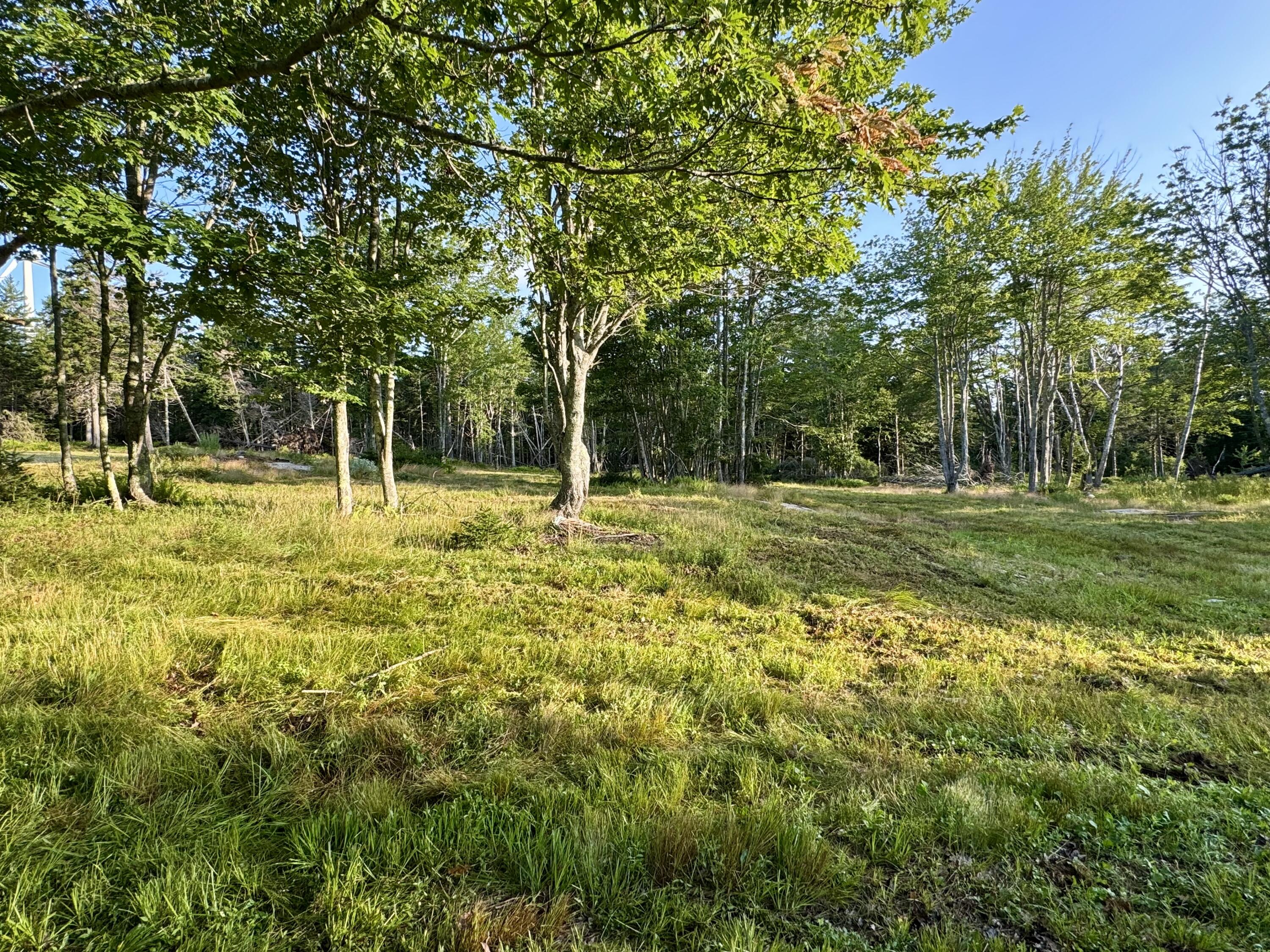 768 North Haven Road Vinalhaven, ME 04863 - Photo 17 of 25 IMG_1327