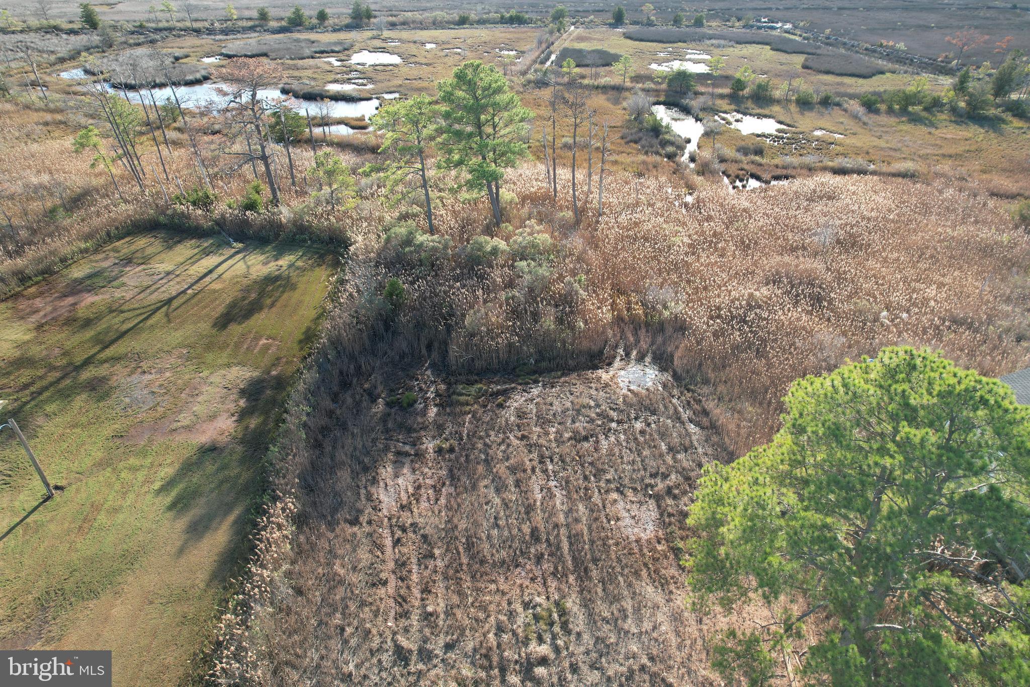 724 Calvary Road Crisfield, MD 21817 - Photo 2 of 8