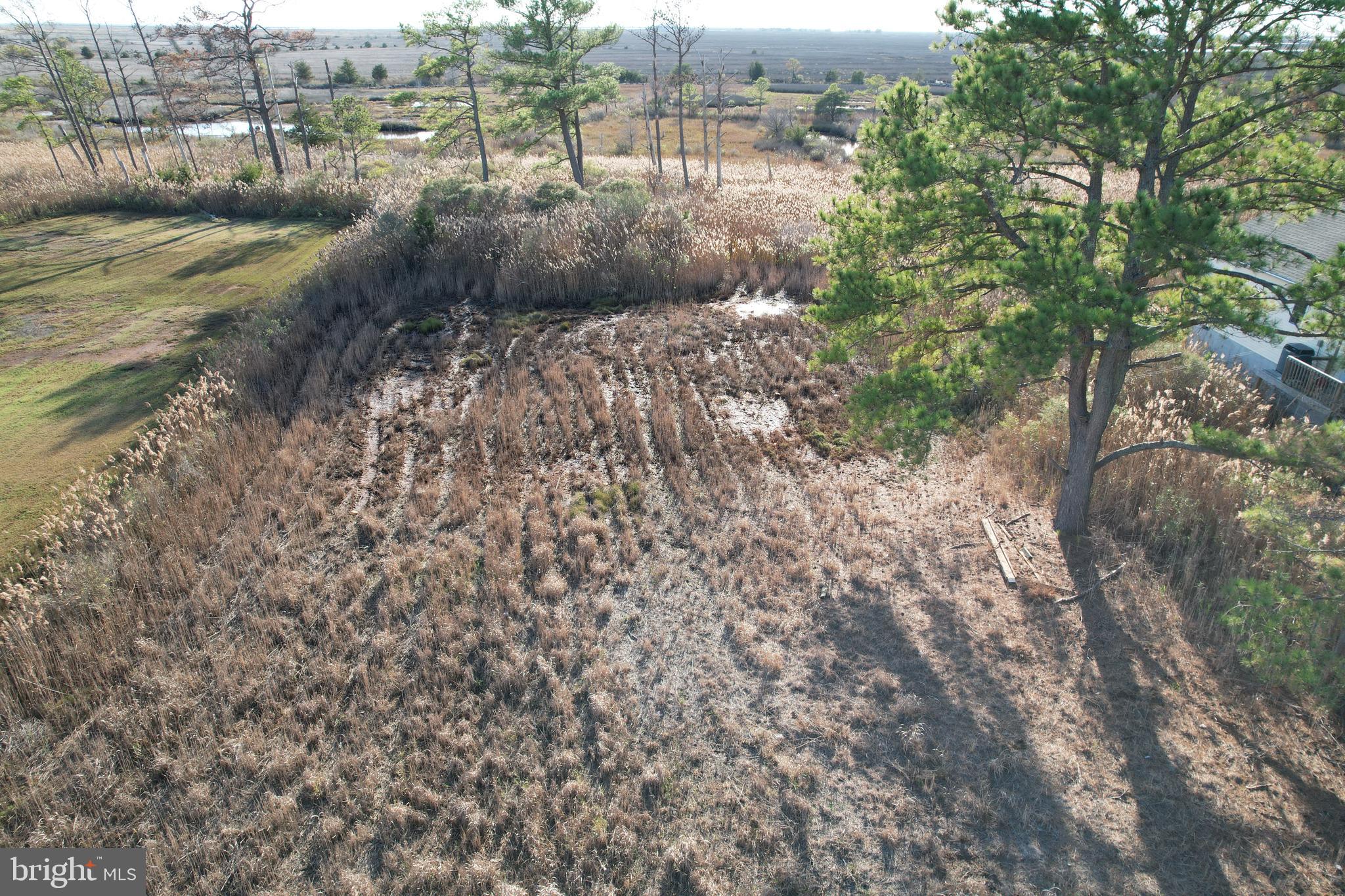 724 Calvary Road Crisfield, MD 21817 - Photo 4 of 8