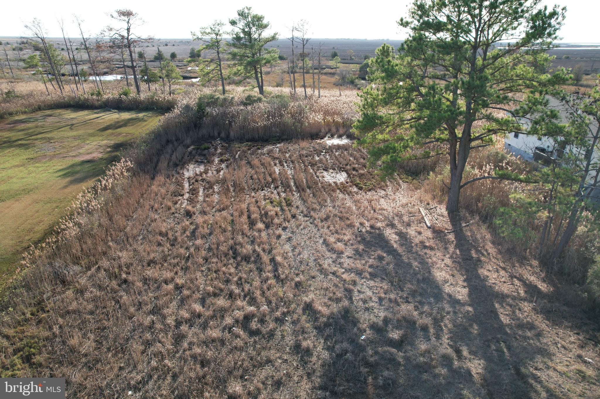 724 Calvary Road Crisfield, MD 21817 - Photo 5 of 8