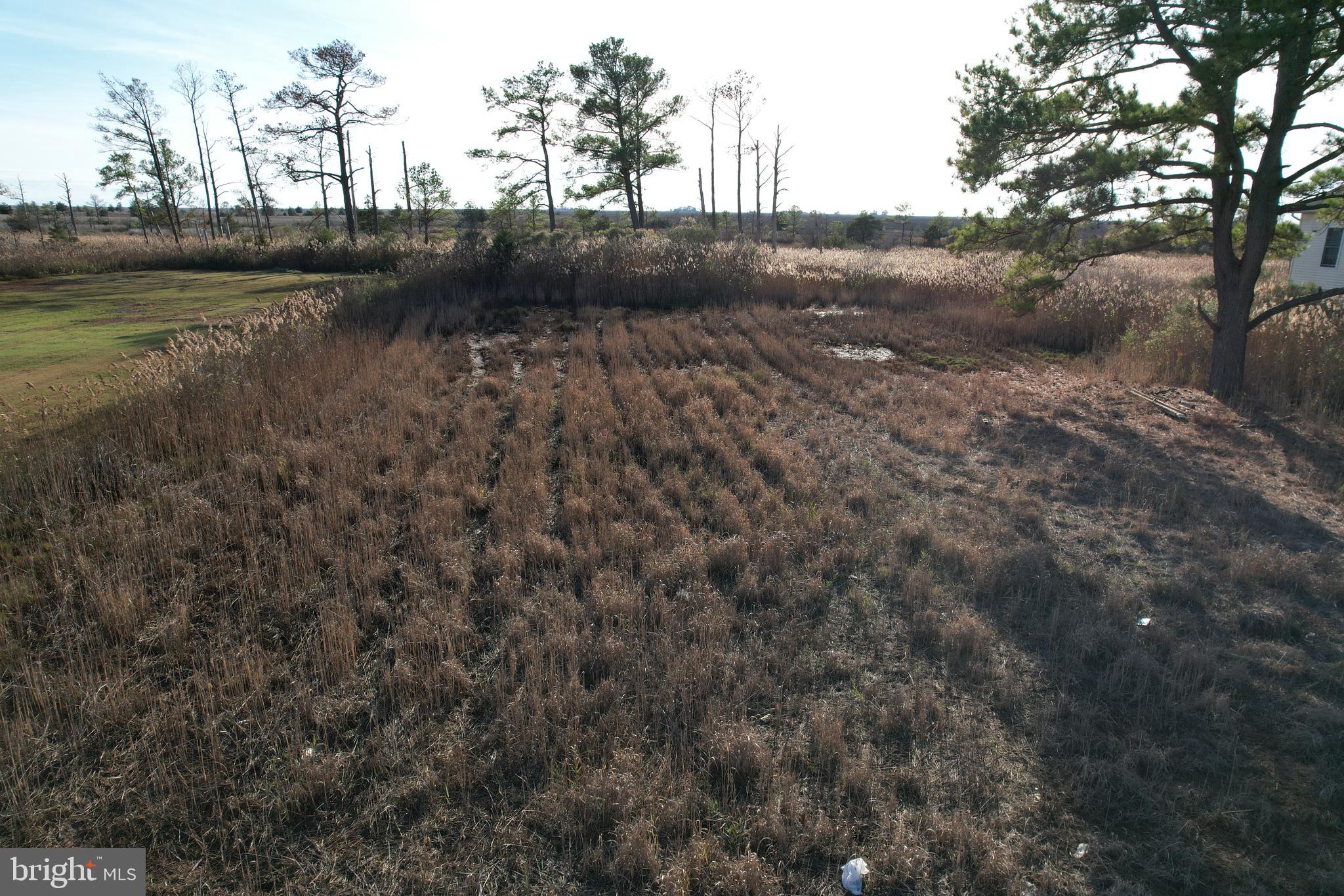 724 Calvary Road Crisfield, MD 21817 - Photo 6 of 8