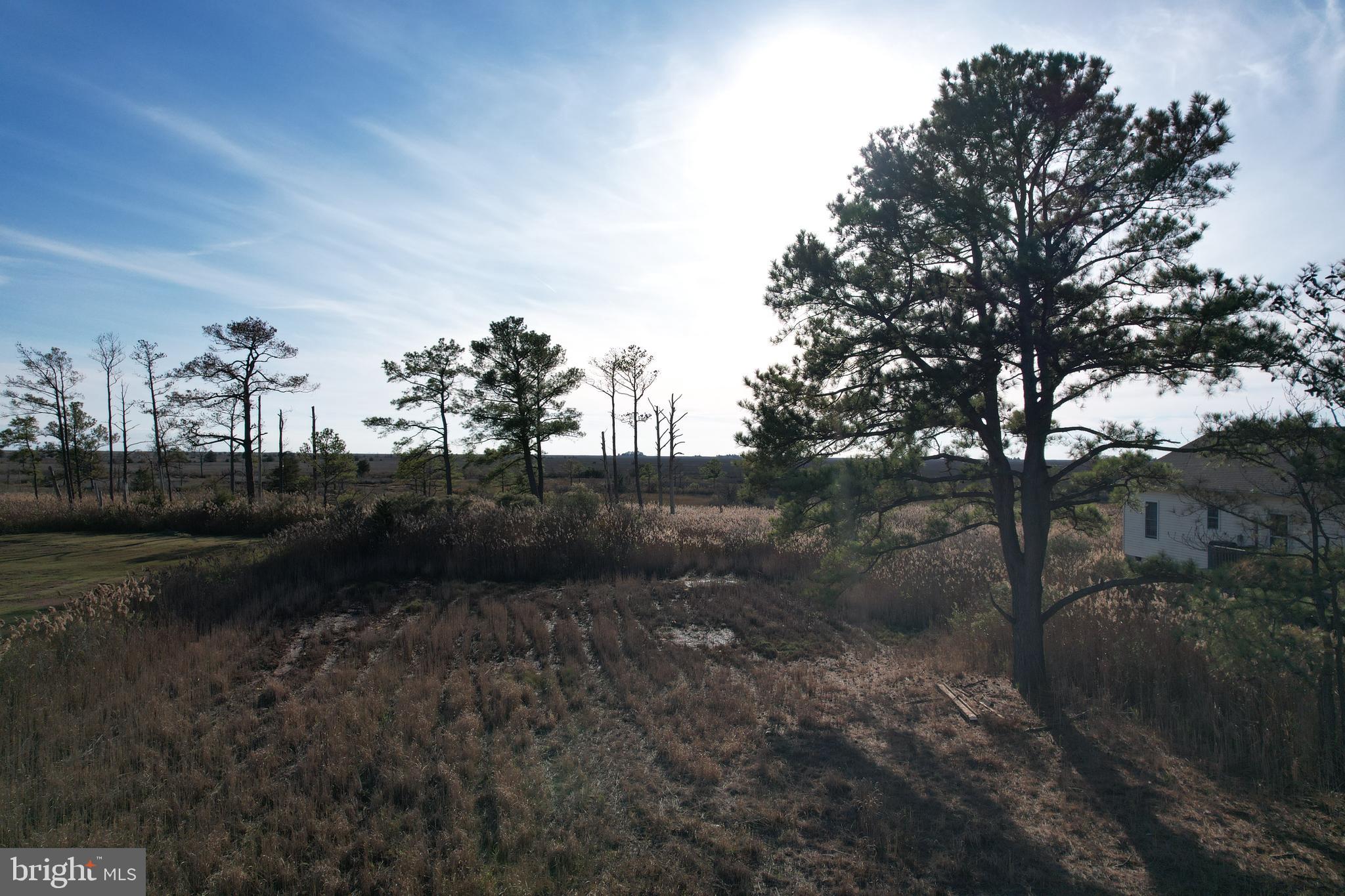 724 Calvary Road Crisfield, MD 21817 - Photo 7 of 8