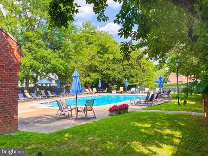 a view of a park with large trees