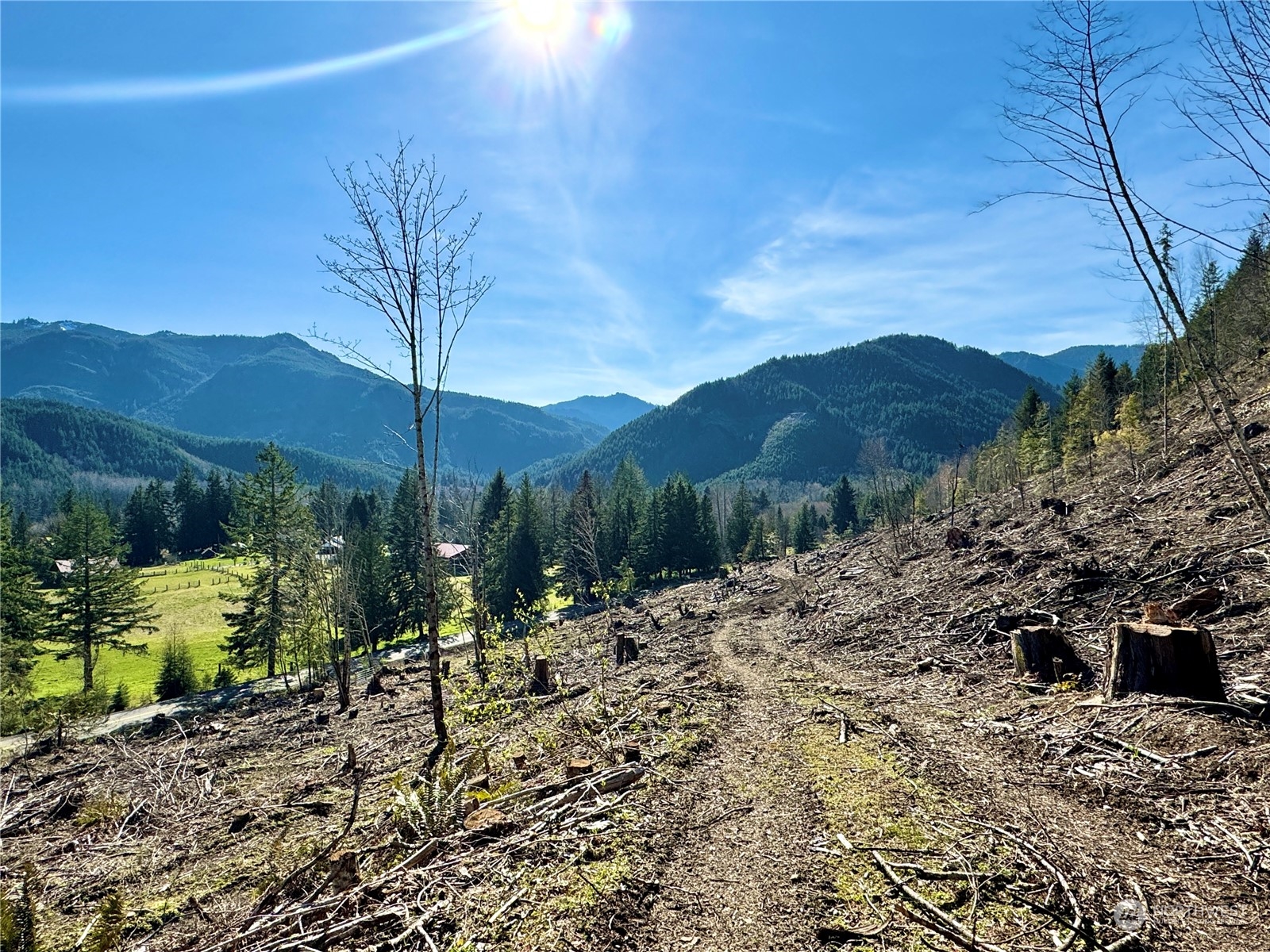 324 Mineral Road North Mineral, WA 98355 - Photo 5 of 34 Gallery Image 5