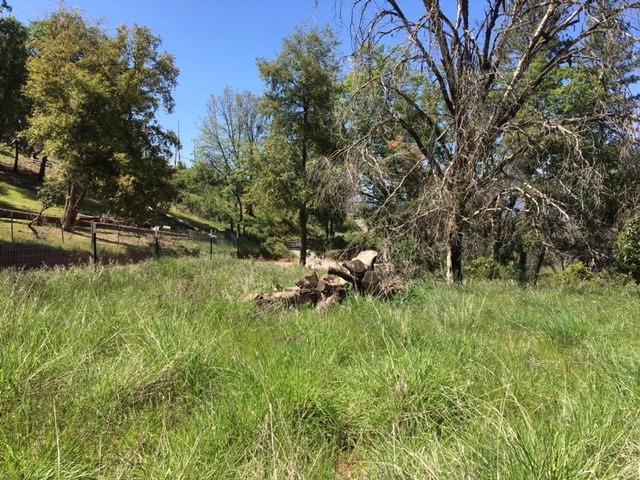7495 Doster Road, Unit PCL A PM 6 69 Mountain Ranch, CA 95246 - Photo 5 of 10 One of the flat spots