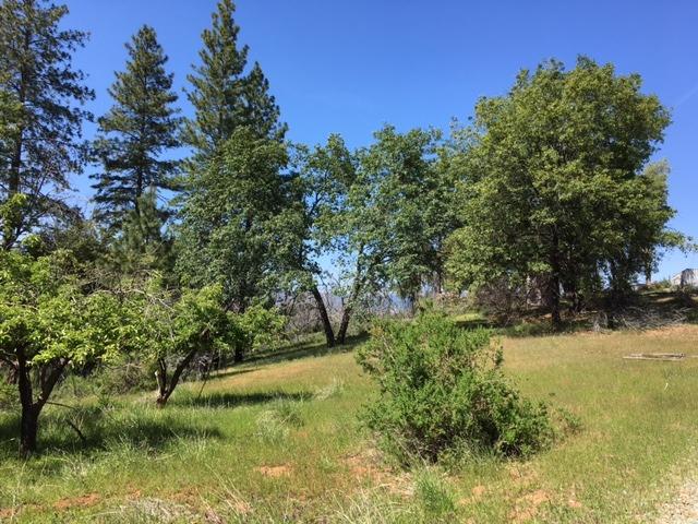7495 Doster Road, Unit PCL A PM 6 69 Mountain Ranch, CA 95246 - Photo 7 of 10 Many healthy tall trees