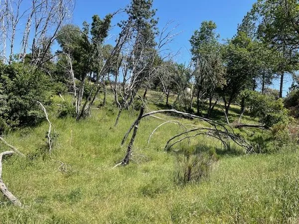 $109,500 | 7495 Doster Road, Unit PCL A PM 6 69, Mountain Ranch, CA 95246