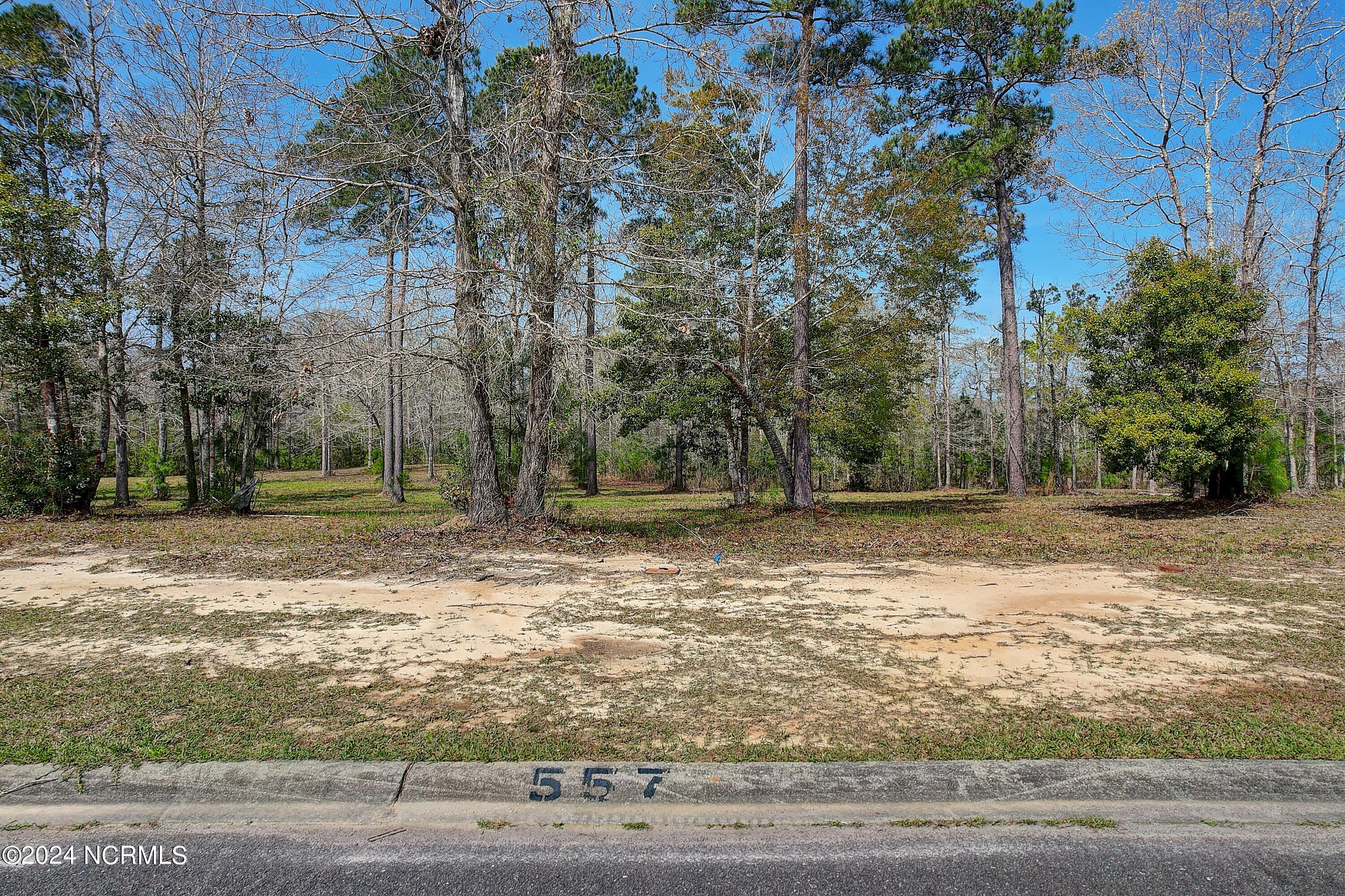 557 Sanctuary Point Southwest Supply, NC 28462 - Photo 3 of 22 557SanctuaryPoint - 1