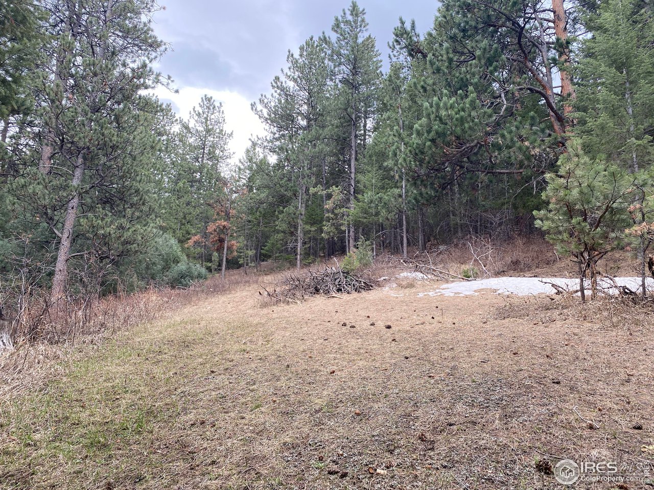 Moose Road Lyons, CO 80540 - Photo 1 of 6 Gallery Image 1
