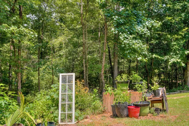 $430,000 | 6494 Washington Road, Appling, GA 30802