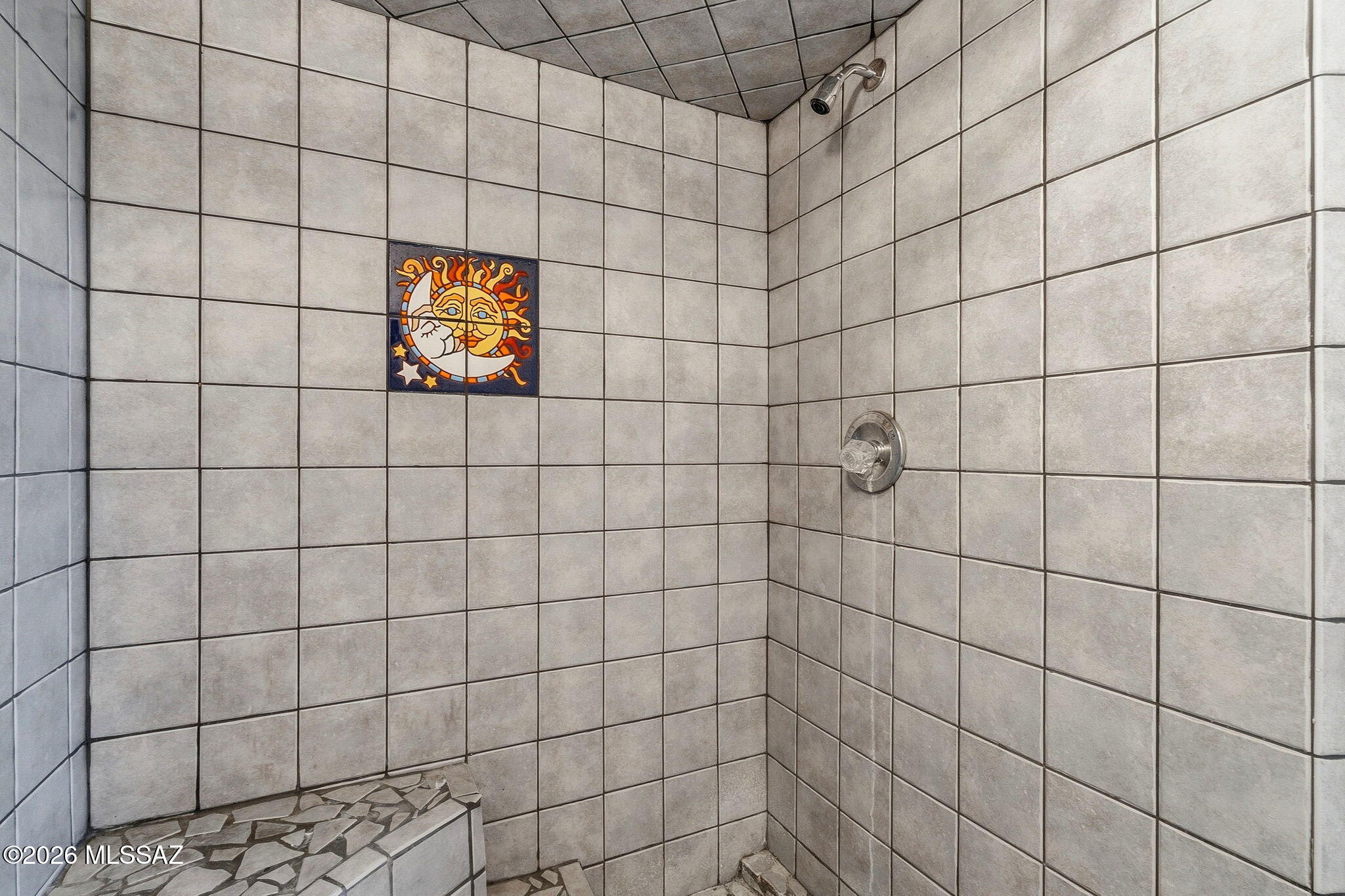 3940 West Alvaro Road Tucson, AZ 85746 - Photo 11 of 44 Walk in primary shower