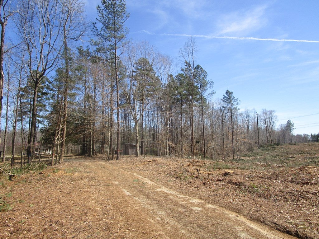 643 New Grove Road Kenbridge, VA 23944 - Photo 3 of 12 Gallery Image 3